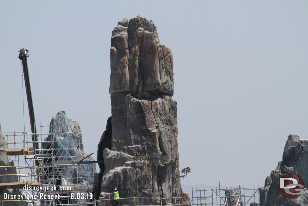 Here you can more clearly see some of the vegetation that has been added.