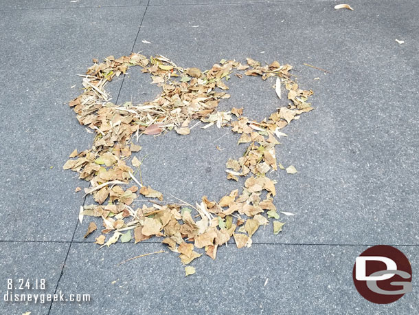 Leaf art as I entered Hollywood Land.