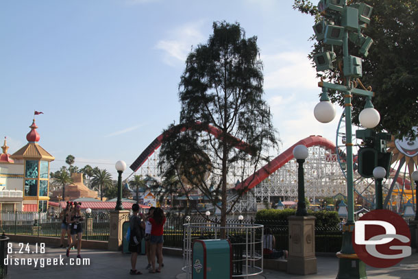 One of the new smaller trees in Paradise Gardens Park.