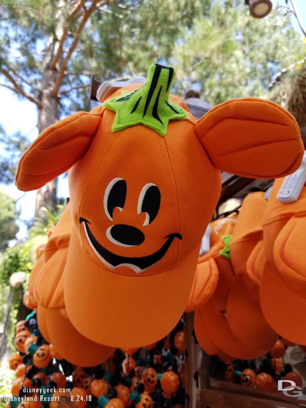 Halloween Hats