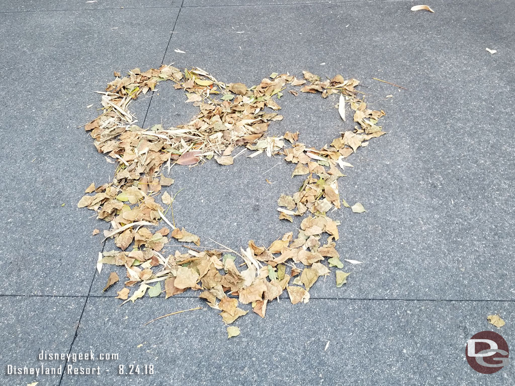 Leaf art as I entered Hollywood Land.