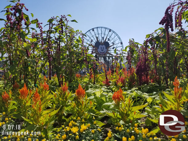 Fall plantings in Paradise Park.