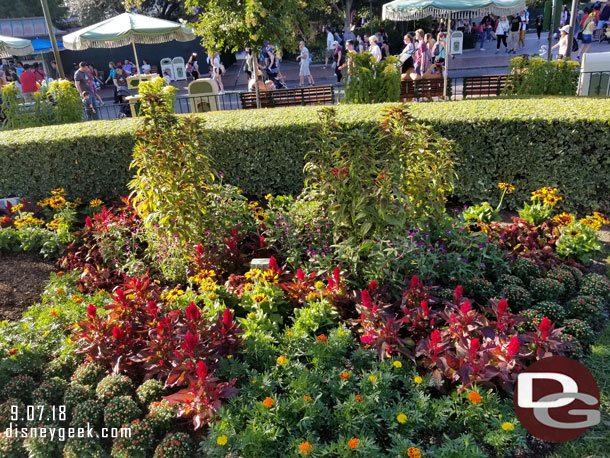 Fall plantings.