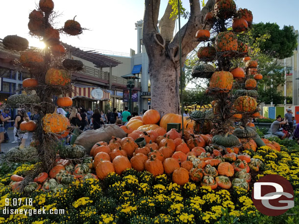 Halloween decorations have taken over for Pixar Fest in the planters throughout Downtown Disney.