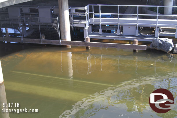 The water in Paradise Bay did not look as brown today.