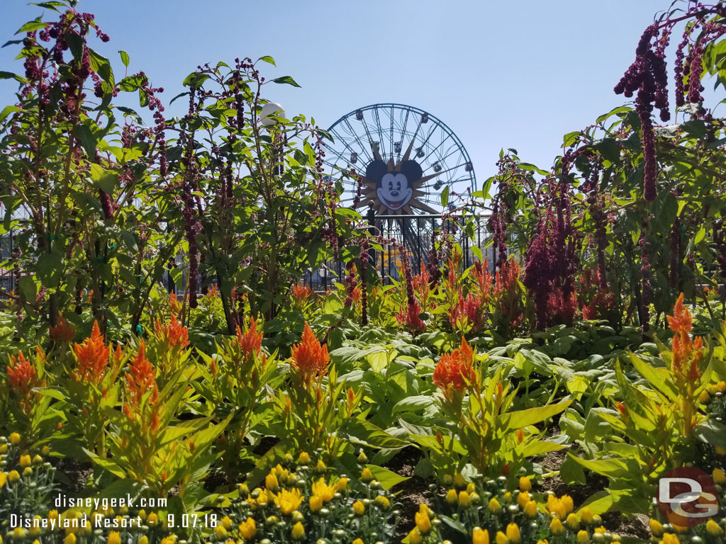 Fall plantings in Paradise Park.