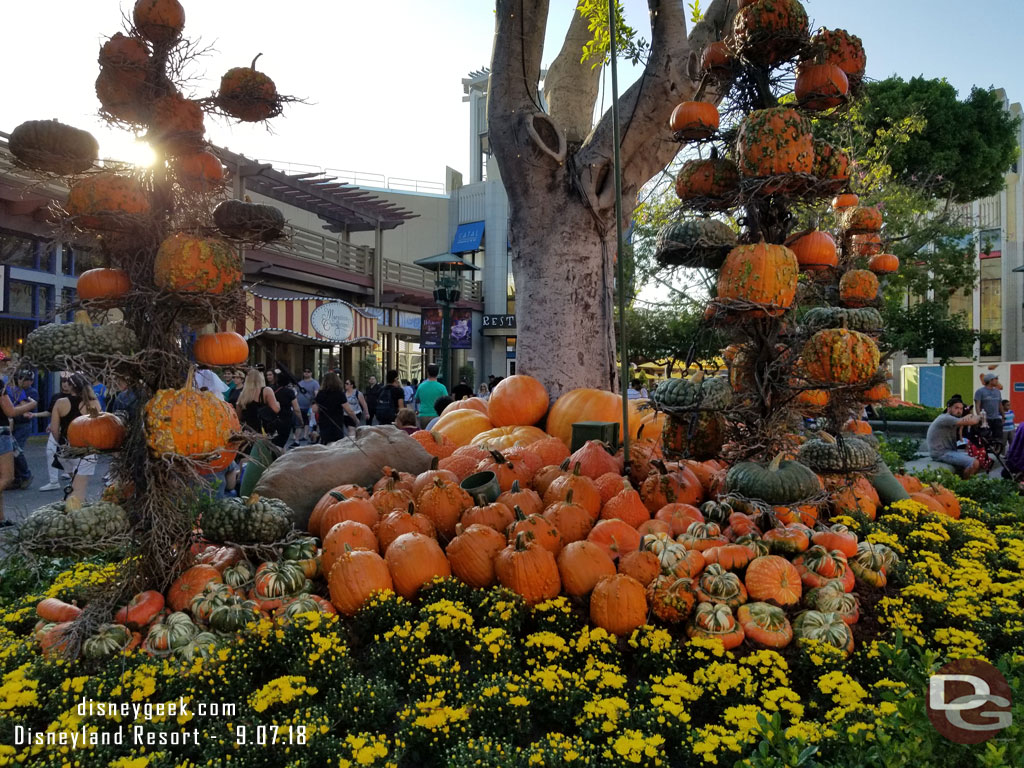 Halloween decorations have taken over for Pixar Fest in the planters throughout Downtown Disney.