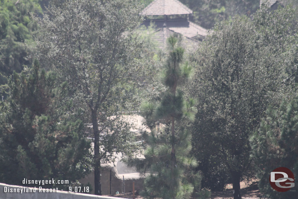 The blue tarps are gone as you look toward Critter Country.  Guess that means the rock work in that area is done to a point they no longer need to protect the trees.