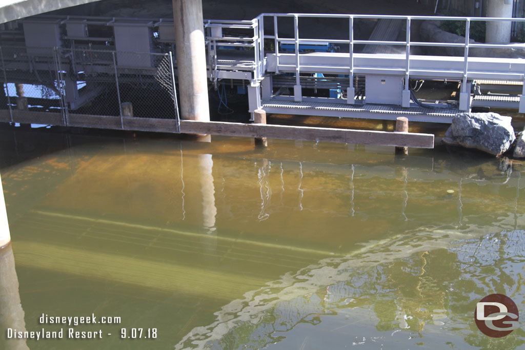 The water in Paradise Bay did not look as brown today.