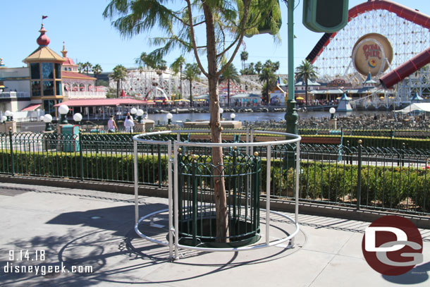 The extra guard rails are still up around most of the new trees.