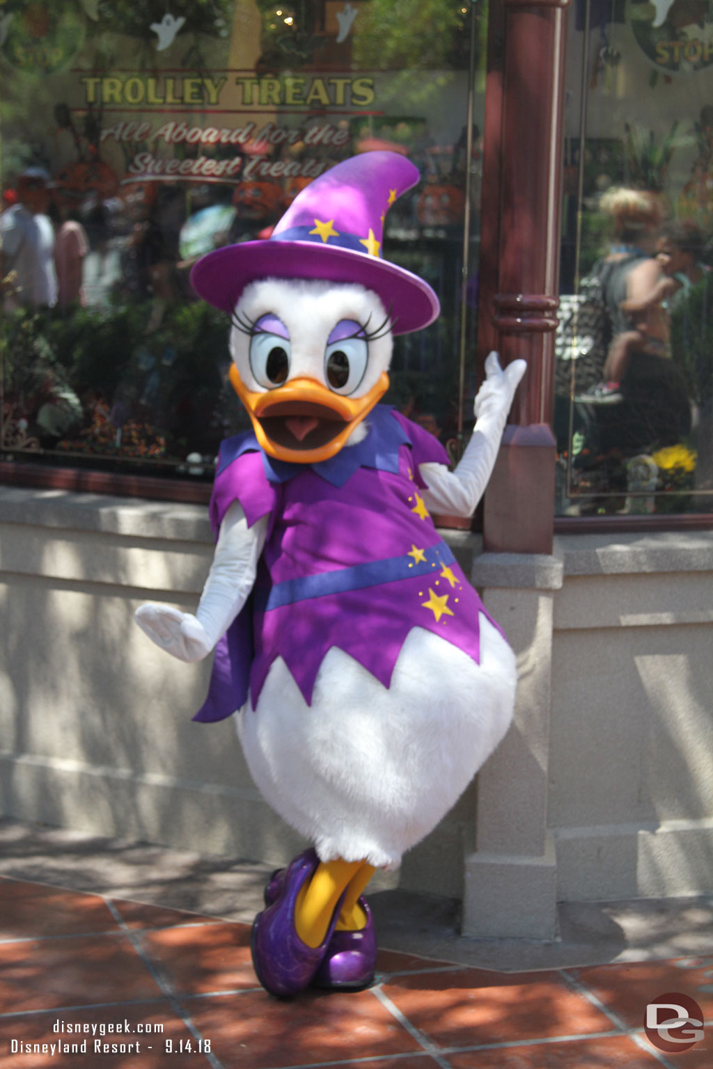 Daisy striking a pose near Trolley Treats.