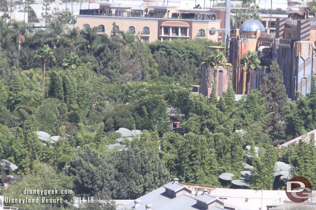 The clovers are still visible and looks like the trees are too.