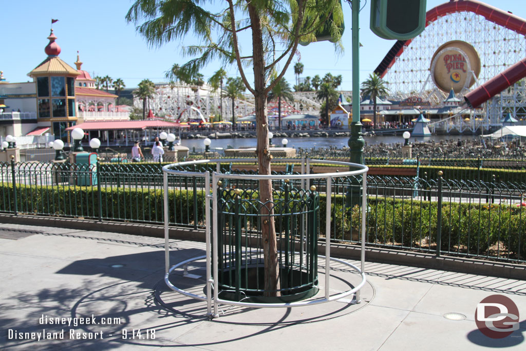 The extra guard rails are still up around most of the new trees.