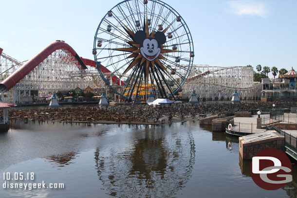 Paradise Bay this afternoon.  All three platforms were up to be worked on.