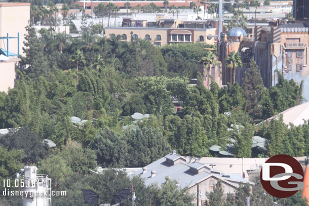 No real visible progress from up here of Flik's.  Was expecting to see the clovers gone and maybe more trees.