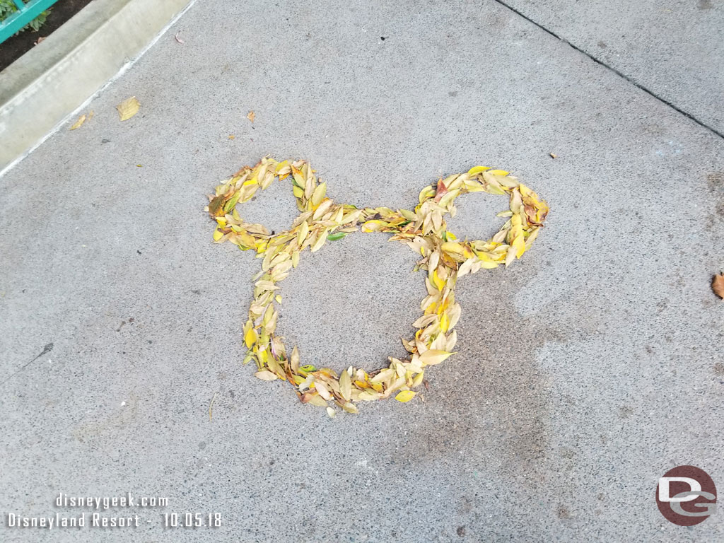 Leaf art on the walkway.