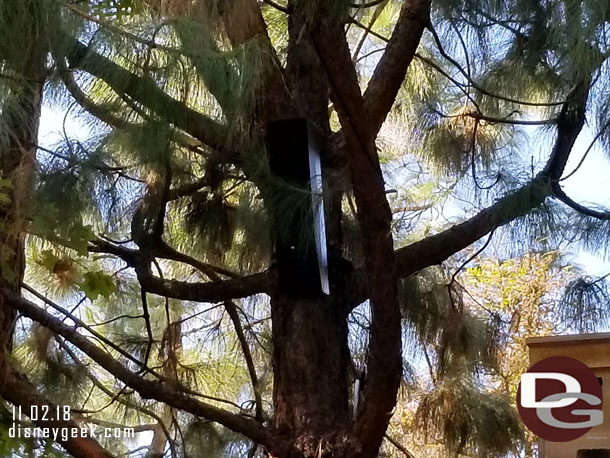 Also spotted additional speakers on several of the trees (a little hard to see with the shadows).