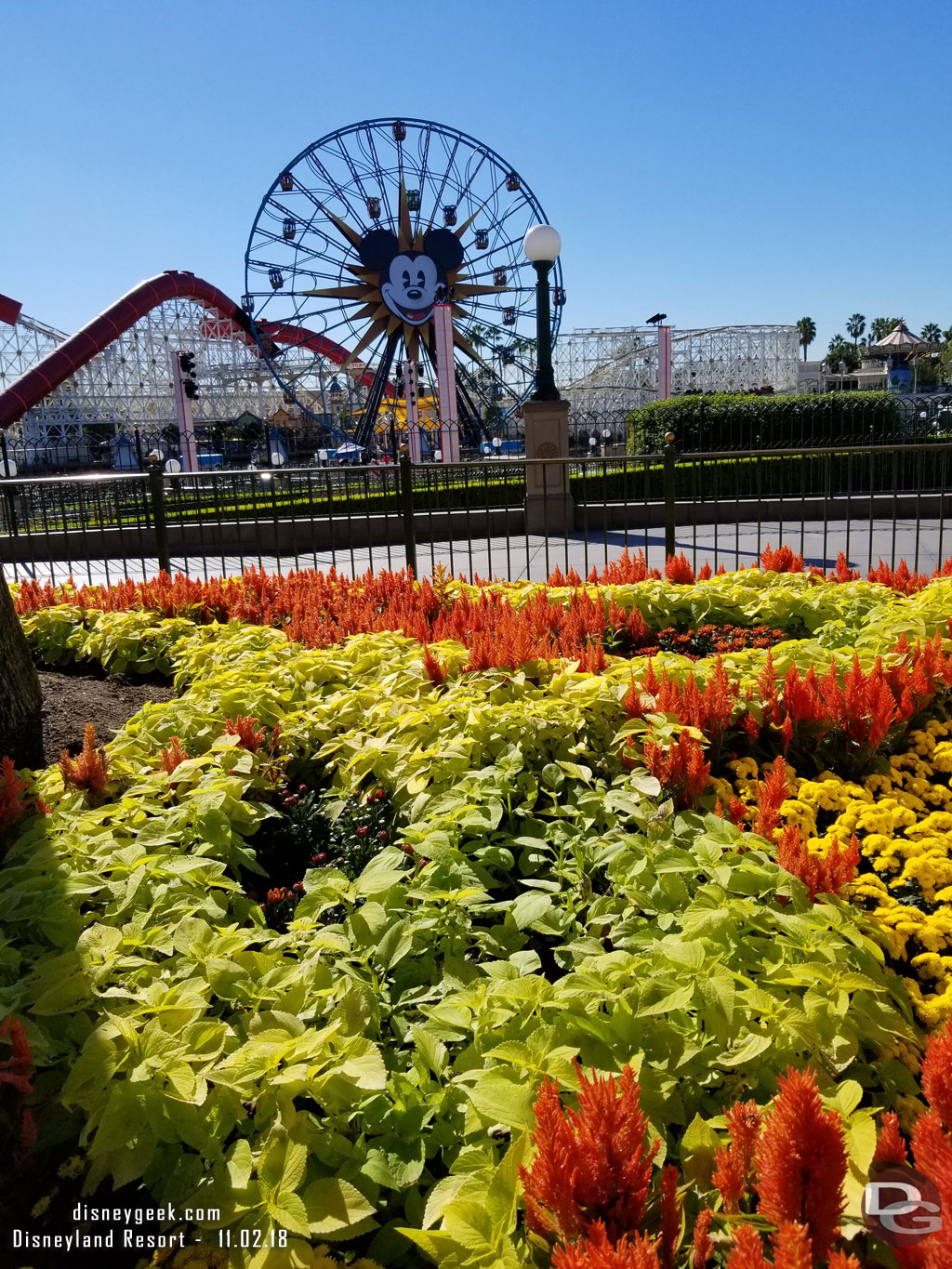 Fall plantings in the planters.