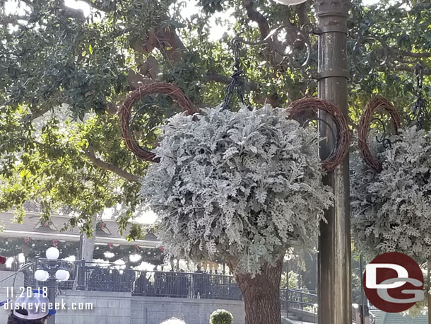 Hanging baskets around Town Square for the  holidays.