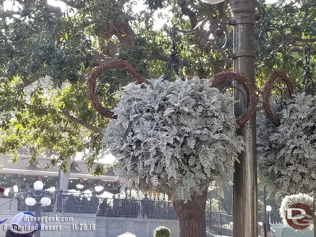 Hanging baskets around Town Square for the  holidays.