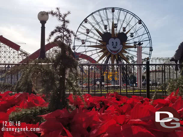 Holiday plantings in Paradise Gardens Park