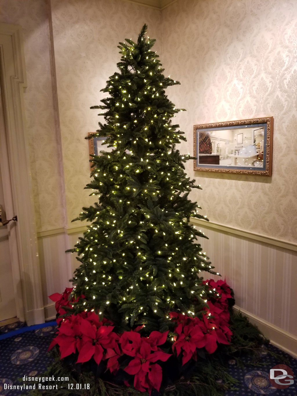 There were also several trees up in the lobby area, not sure if these are for the Candlelight ceremony (they use this as a reception area/green room) or for the season.