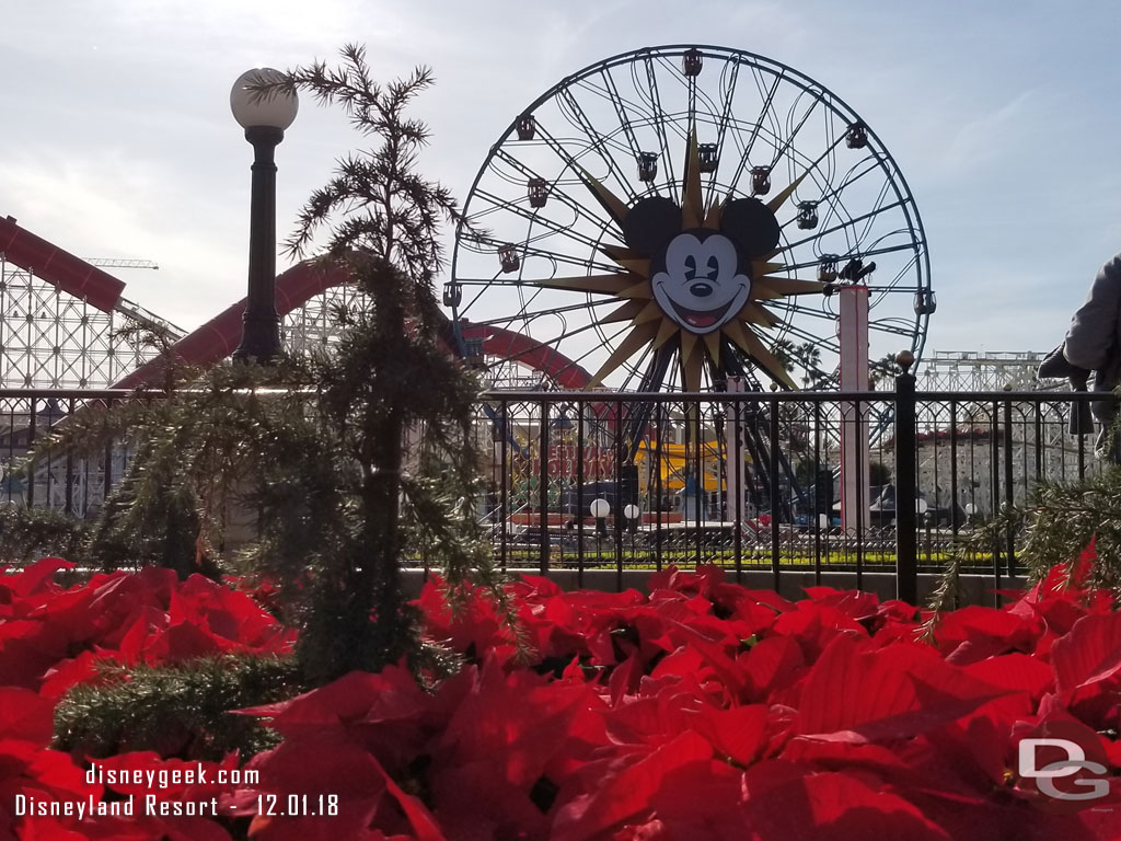 Holiday plantings in Paradise Gardens Park