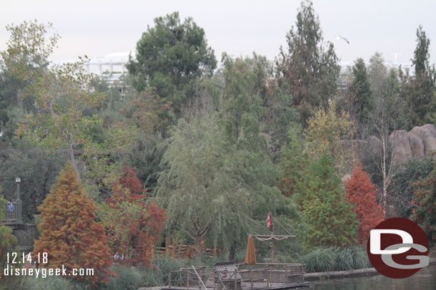 Cruising up river, some trees have changed colors for season.