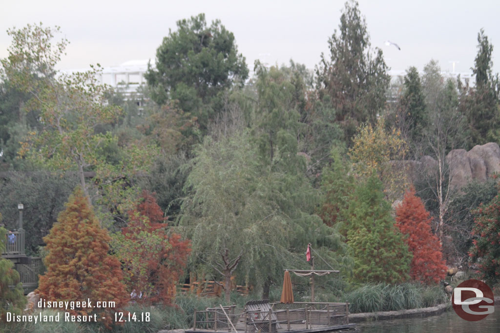 Cruising up river, some trees have changed colors for season.