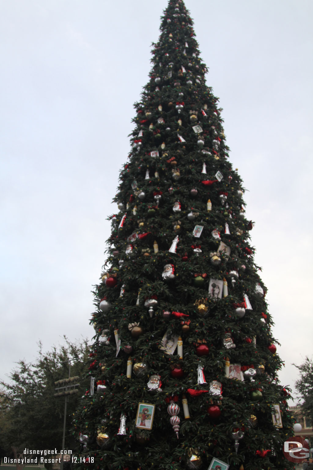 Passing by the Christmas tree.