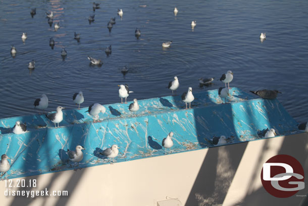 The seagulls have really made a mess on the lighting covers.