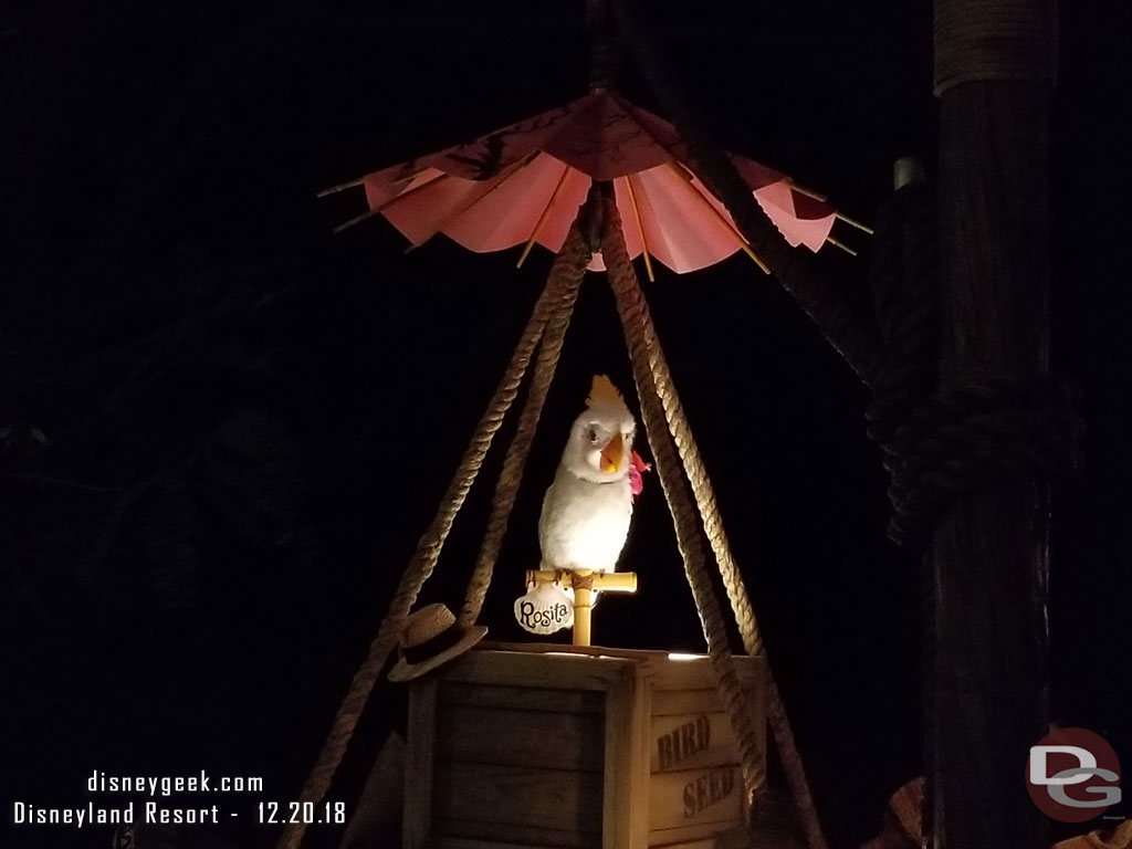 Rosita on her perch near the river.