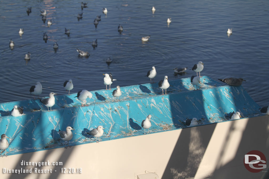 The seagulls have really made a mess on the lighting covers.