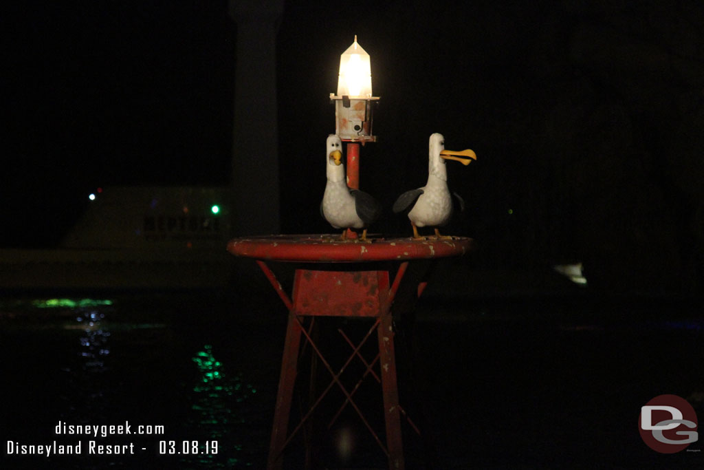 Two seagulls are now in the sub lagoon, double last week.