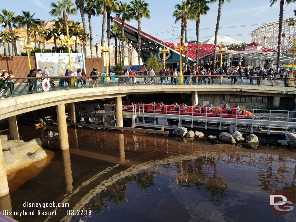 The water of Paradise Bay was looking rather brown today.
