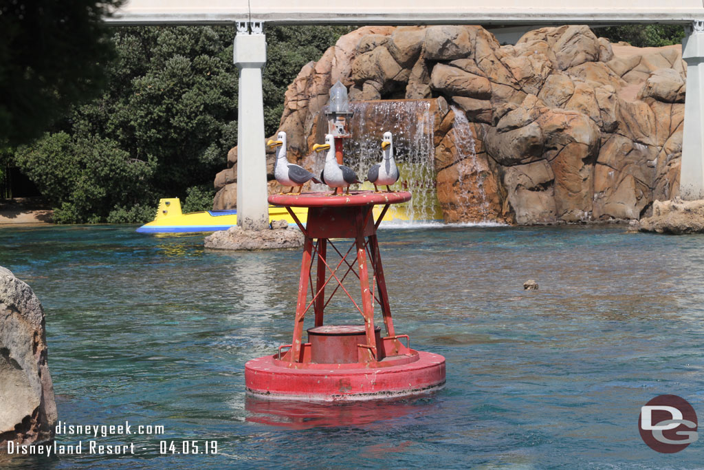 All three seagulls are present once again in the sub lagoon.