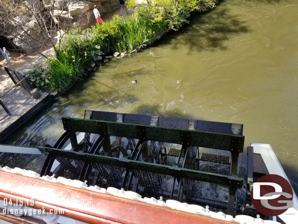 The paddle wheel looked like it could use a cleaning.