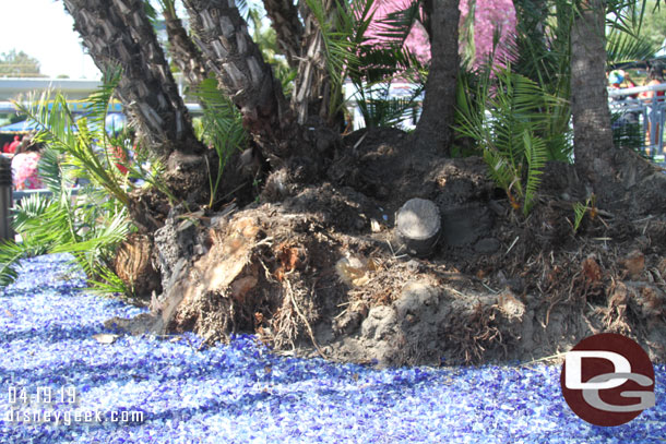 The trees inside the planter have been cut back too.