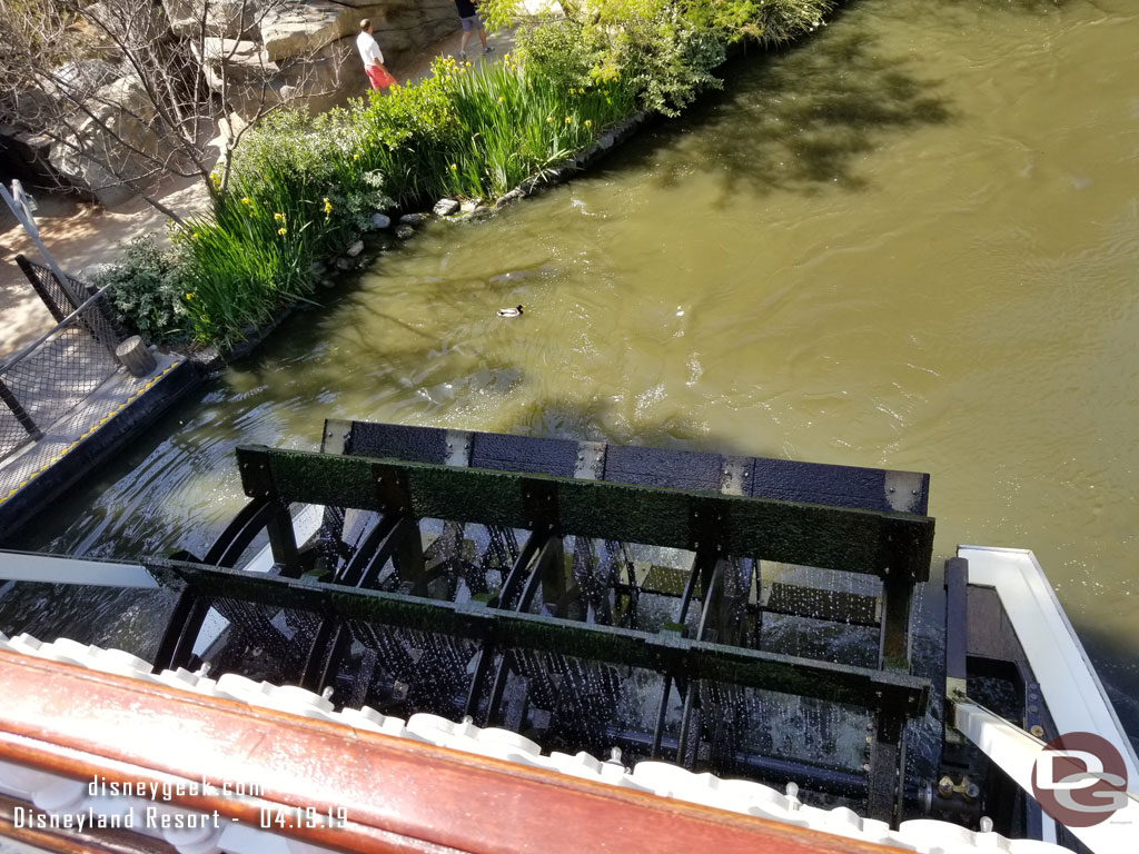 The paddle wheel looked like it could use a cleaning.