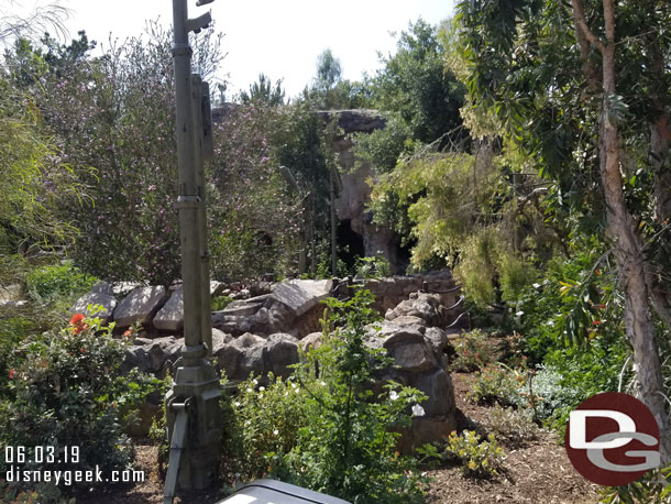 The queue works its way through the forest into the caves.