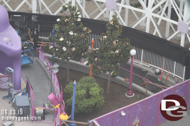 Dirt has filled in the planter around these trees and light near the exit.