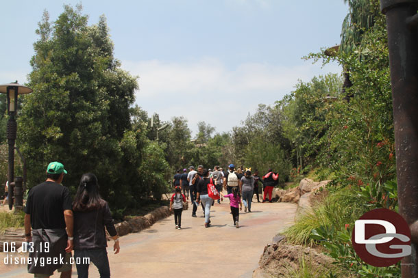 The trail through the Resistance forest area.  To the left is the future queue for Rise of the Resistance.