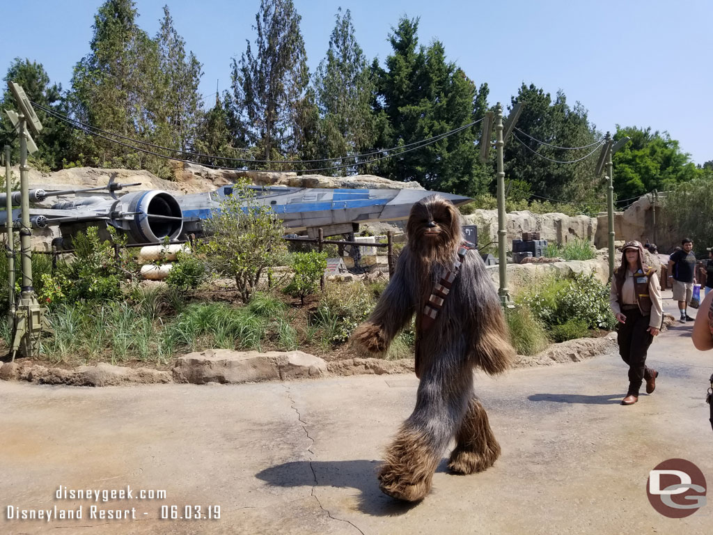 Chewie was arriving to shop.