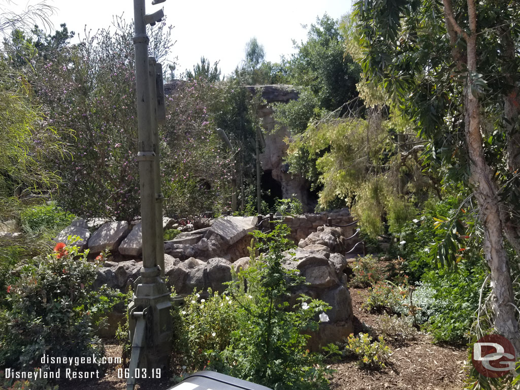 The queue works its way through the forest into the caves.