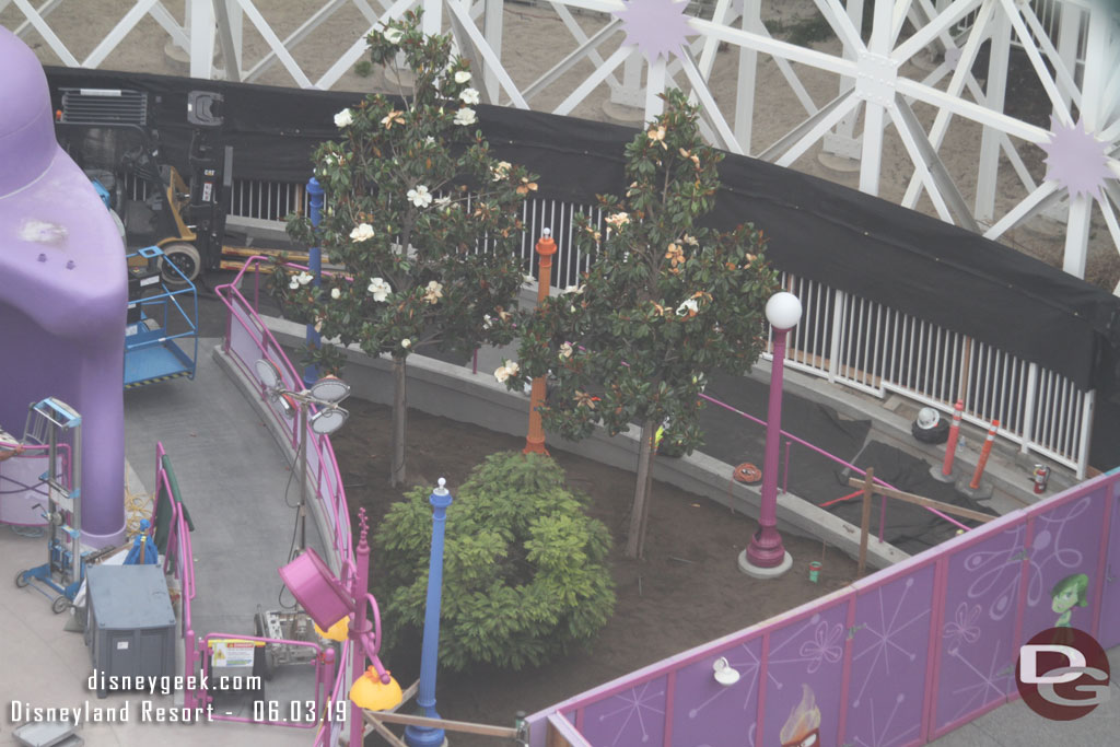 Dirt has filled in the planter around these trees and light near the exit.