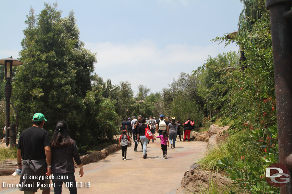 The trail through the Resistance forest area.  To the left is the future queue for Rise of the Resistance.