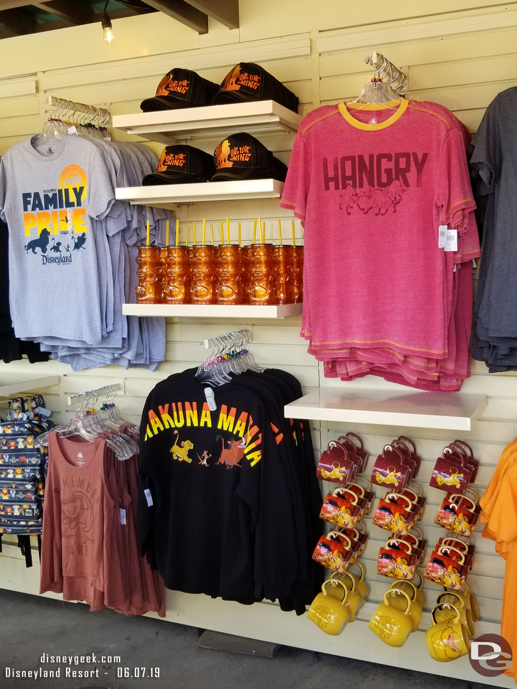 Only one shirt said Disneyland that I noticed (the gray one on the left), everything else was generic Lion King it looked like.