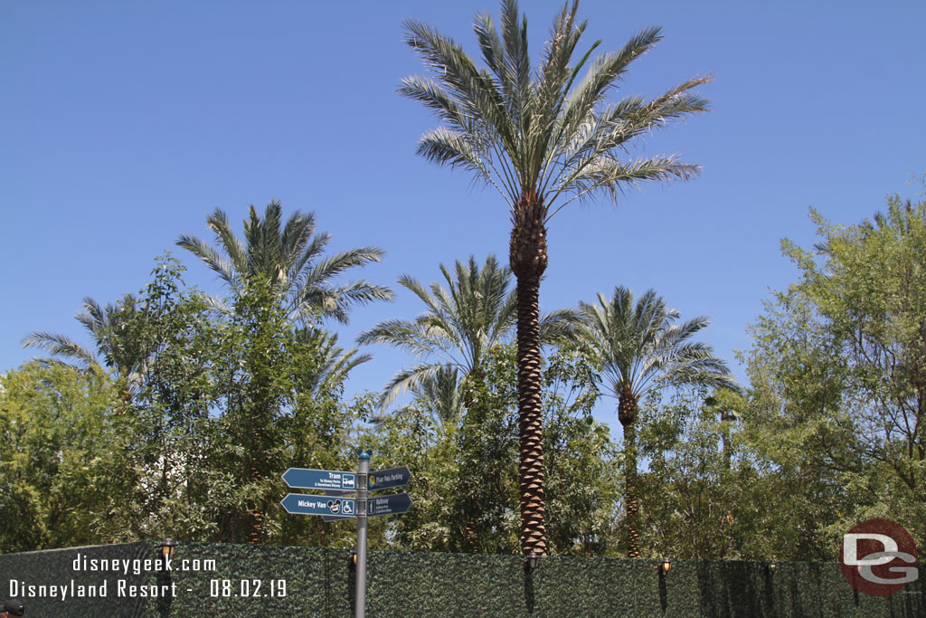 The number of trees in the tram plaza continues to grow.  From ground level it is looking like a forest.