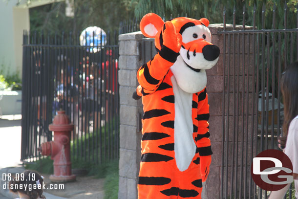 Tigger was out near the Matterhorn.