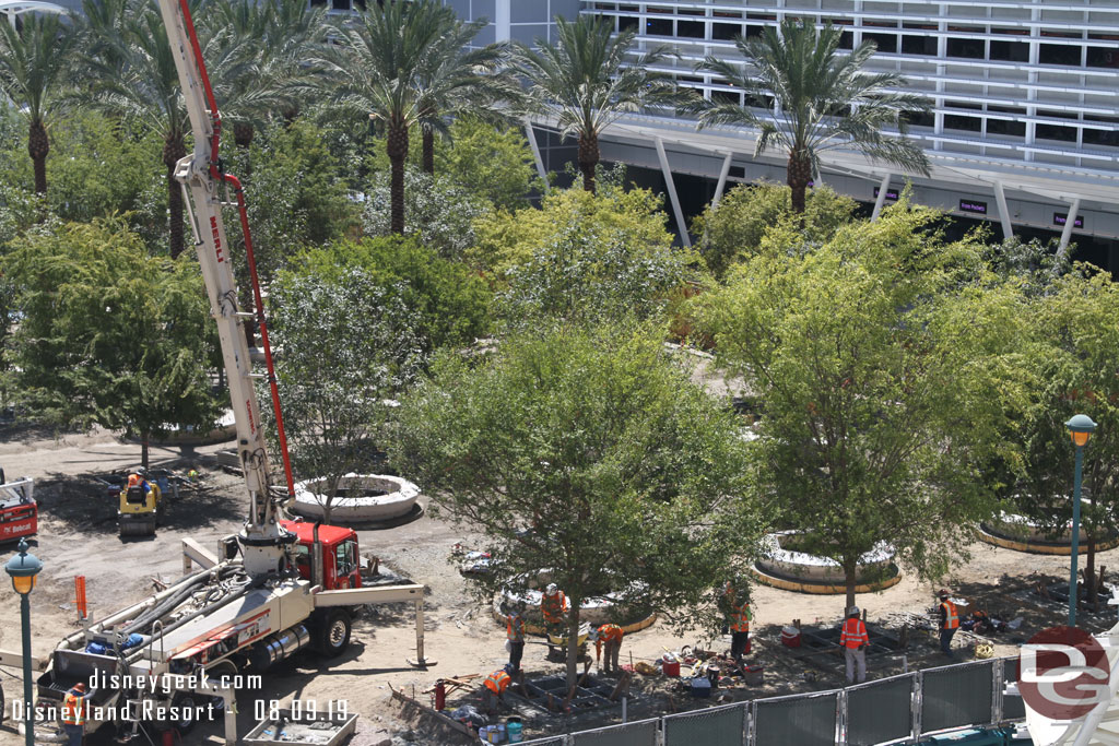 Today teams were working on the curbs for the planters around the trees.